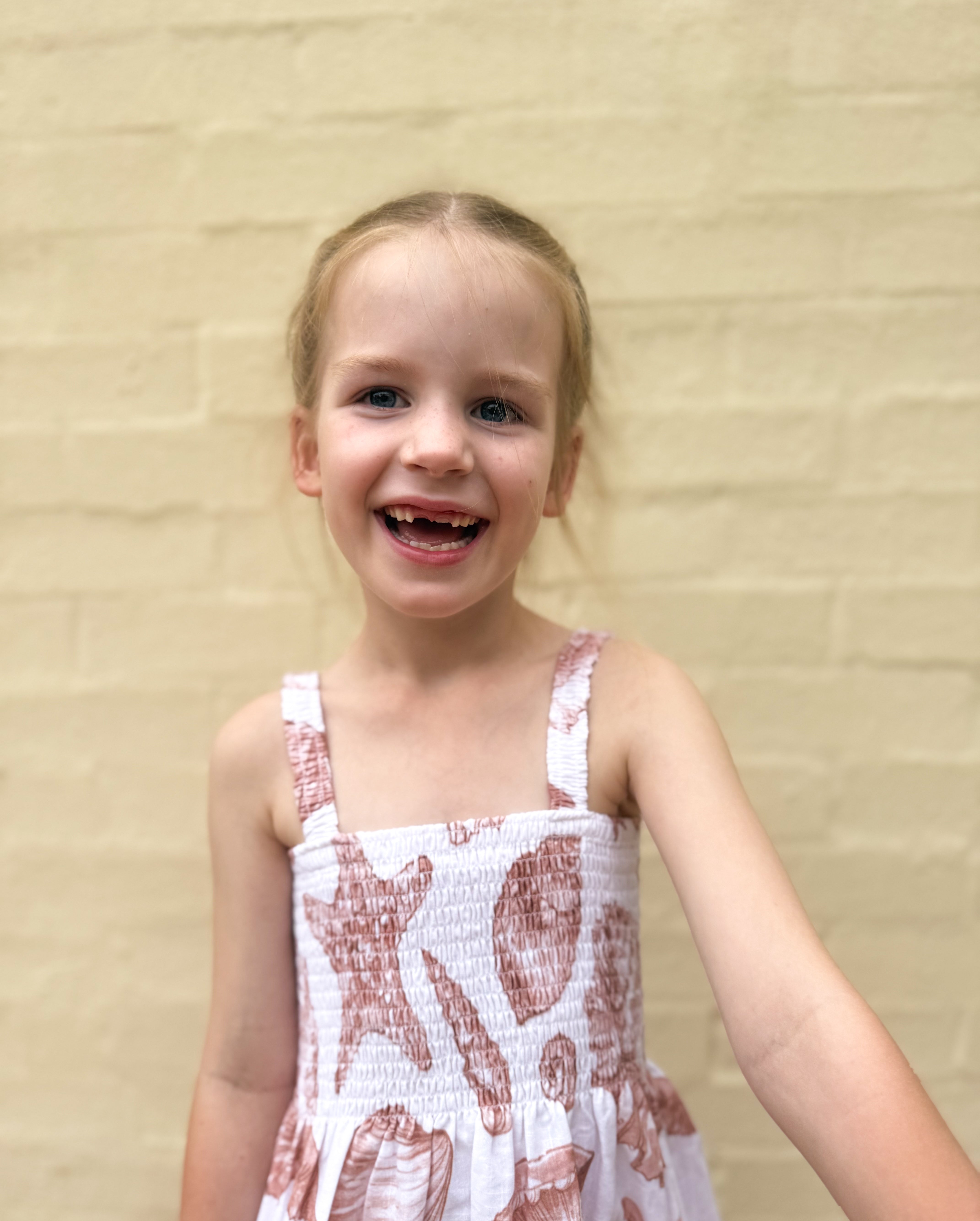 Amaya Dress - Linen Seashells